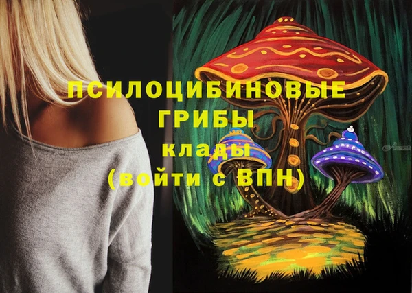 тгк Алексин