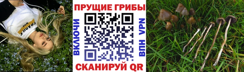 Псилоцибиновые грибы Magic Shrooms  Красноуфимск 