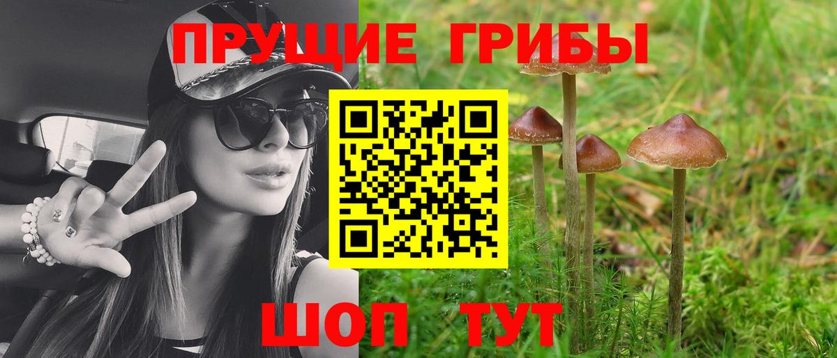 Галлюциногенные грибы мухоморы Красноуфимск
